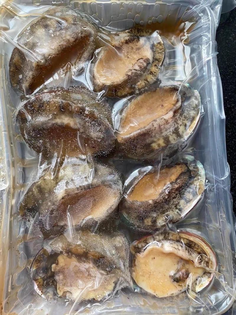 鲍鱼新鲜冷冻个大鲜活海捕超大鲍鱼【顺丰包邮】