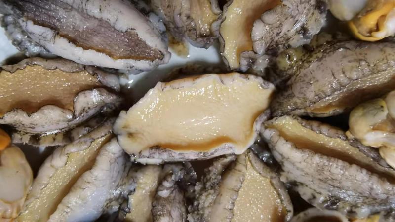 鲍鱼新鲜冷冻个大鲜活海捕超大鲍鱼【顺丰包邮】