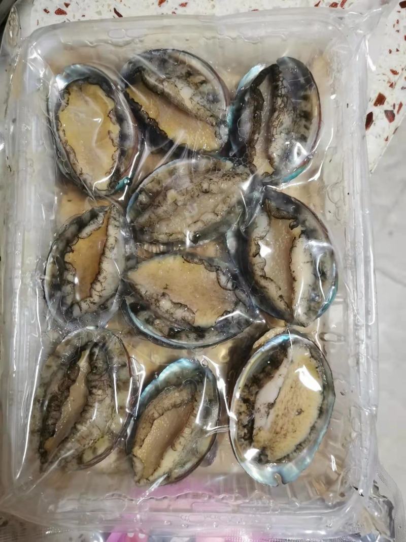 鲍鱼新鲜冷冻个大鲜活海捕超大鲍鱼【顺丰包邮】