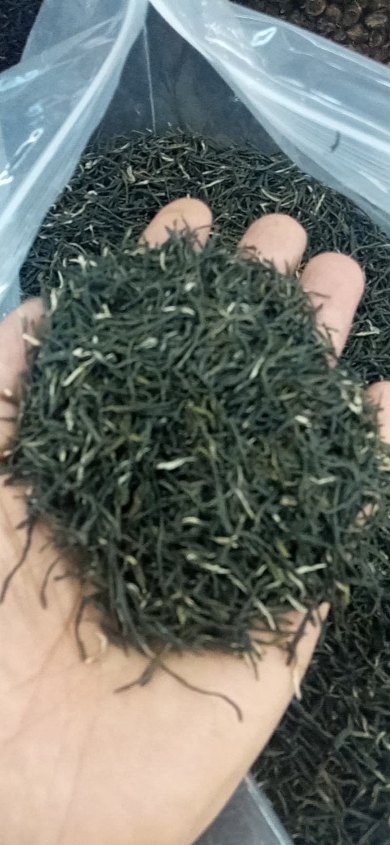 茶叶，绿茶，毛尖茶，竹溪茶，武当茶
