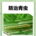 5%甲维盐蓟马专用药稻纵卷叶螟甜菜夜蛾青虫杀虫剂水稻专用