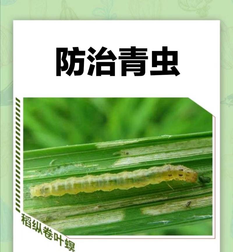 5%甲维盐蓟马专用药稻纵卷叶螟甜菜夜蛾青虫杀虫剂水稻专用