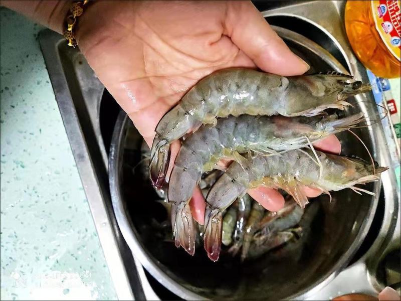新鲜海捕青岛大虾大号冷冻基围虾批发【顺丰包邮】