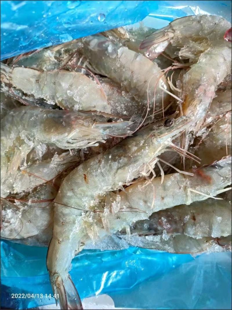 新鲜海捕青岛大虾大号冷冻基围虾批发【顺丰包邮】