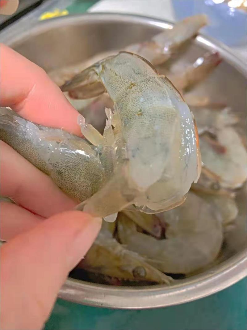 新鲜海捕青岛大虾大号冷冻基围虾批发【顺丰包邮】