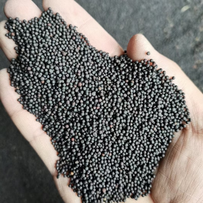 湖北本地菜籽高质量油颜色金黄，水分干，出油高。