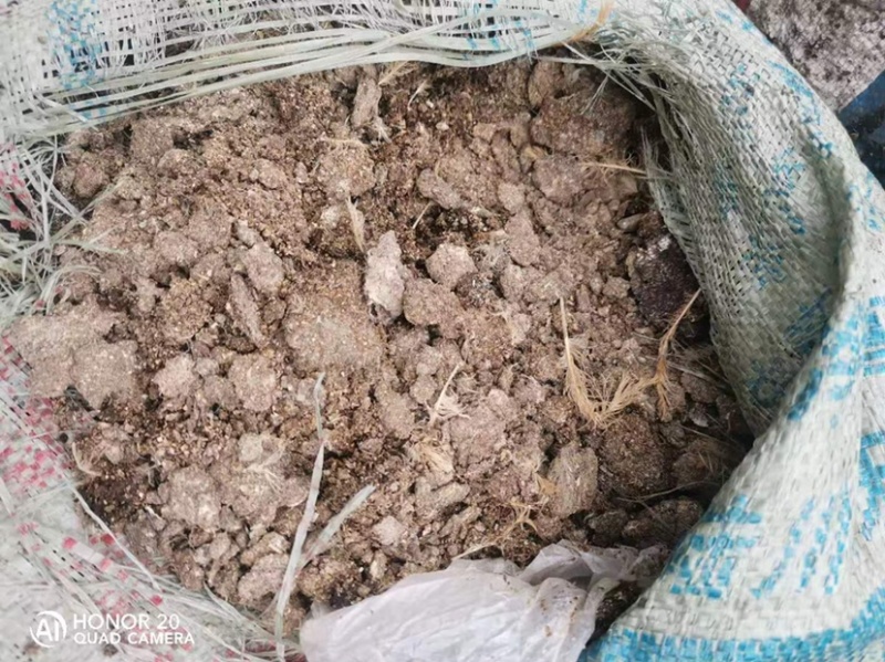 纯鸡粪