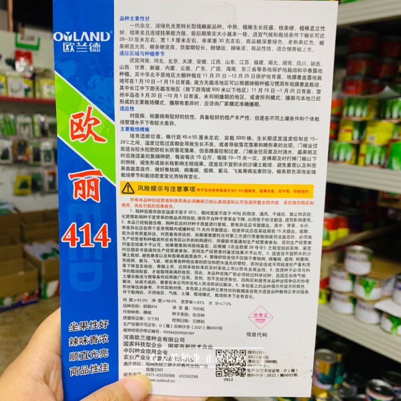 一代杂交深绿色特长果线椒种子枝条硬辣味浓顺直光亮