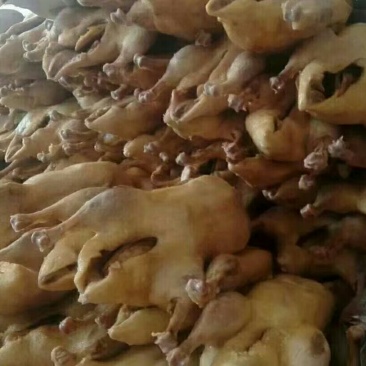 南京特产盐水鸭