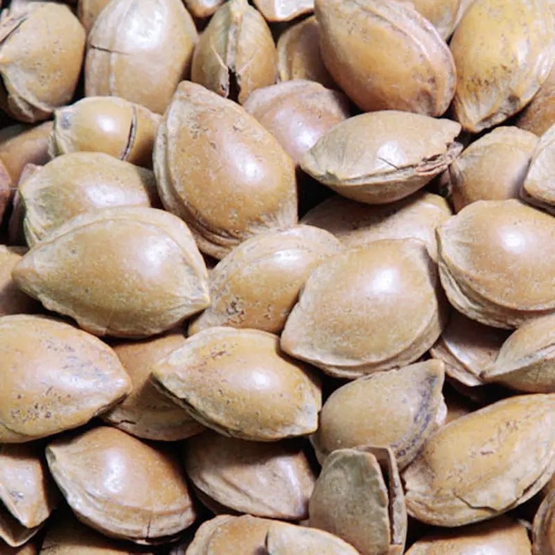 开口杏核，小金豆杏核，箱装奶味袋装开口笑干果