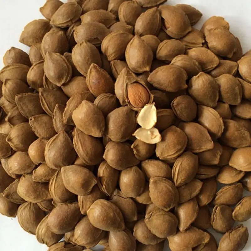开口杏核，小金豆杏核，箱装奶味袋装开口笑干果