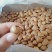 开口杏核,小金豆杏核,箱装奶味袋装开口笑干果