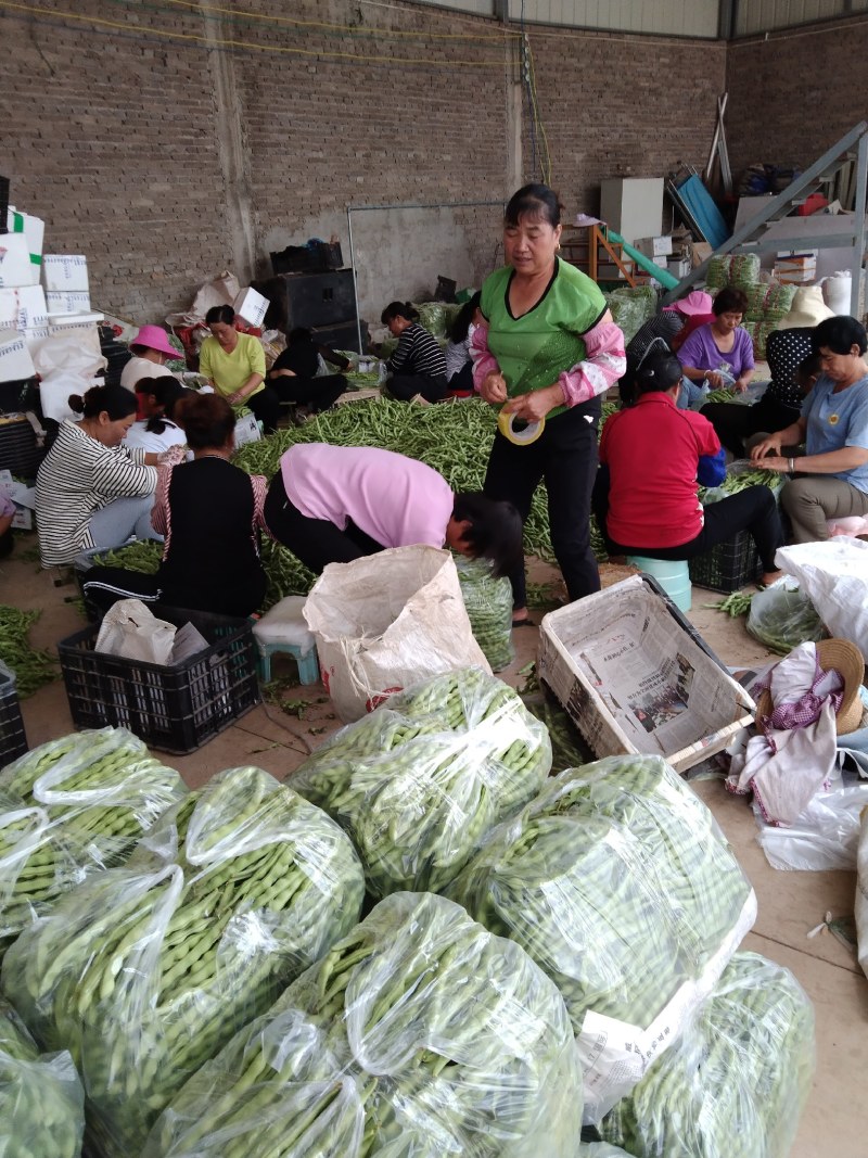 云南省弥勒大量大青豆上市，需要的可以联系了