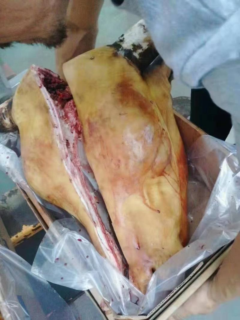火燎牛头，带皮牛头去皮牛头都有，价格美丽