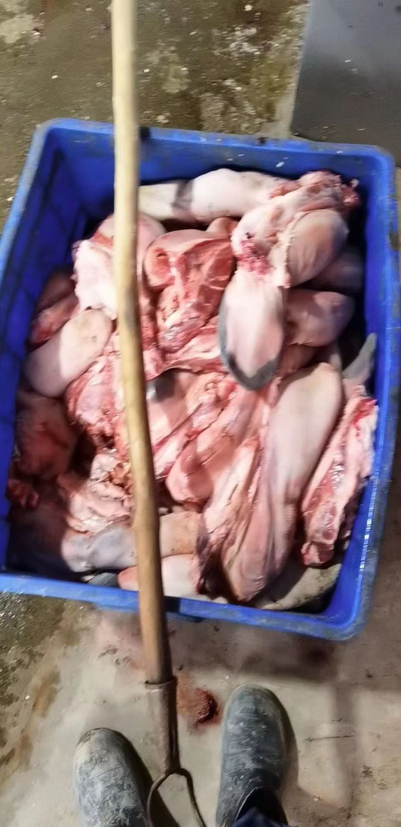 国产纯干无水牛舌，货好价格合适，欢迎咨询
