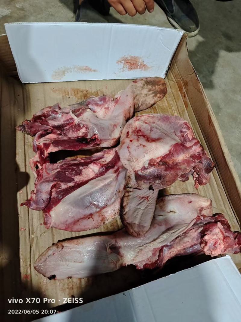 国产纯干无水牛舌，货好价格合适，欢迎咨询