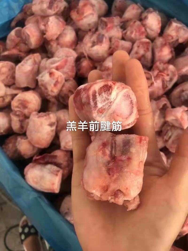 羔羊前腱筋，一手货源，价格便宜吃肉吃筋。