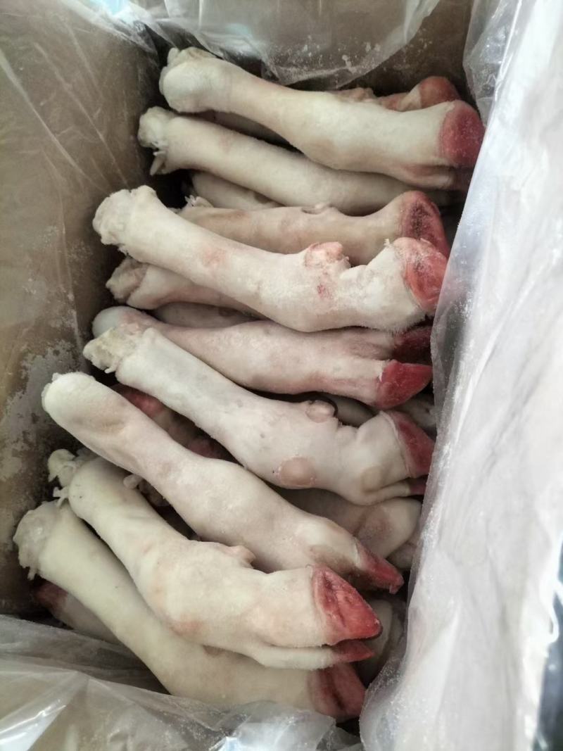 精品羊蹄，大中小号常年有货，厂家批发一手货源。