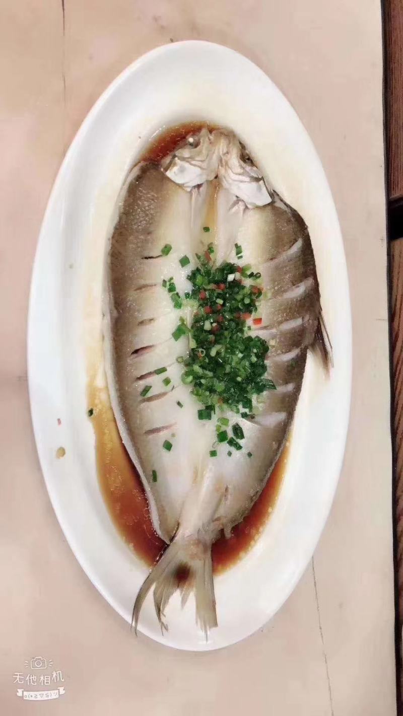 贵妃鳕鱼，活鱼宰杀，速冻锁鲜