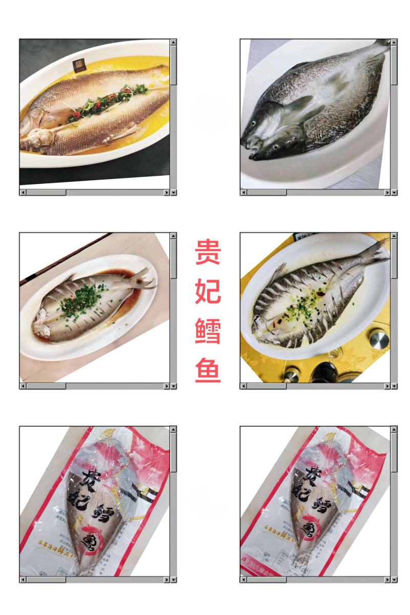 贵妃鳕鱼，活鱼宰杀，速冻锁鲜