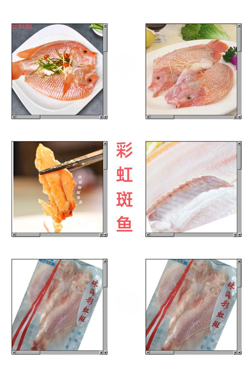 彩虹斑鱼《调理鱼类，活鱼宰杀，速冻锁鲜》