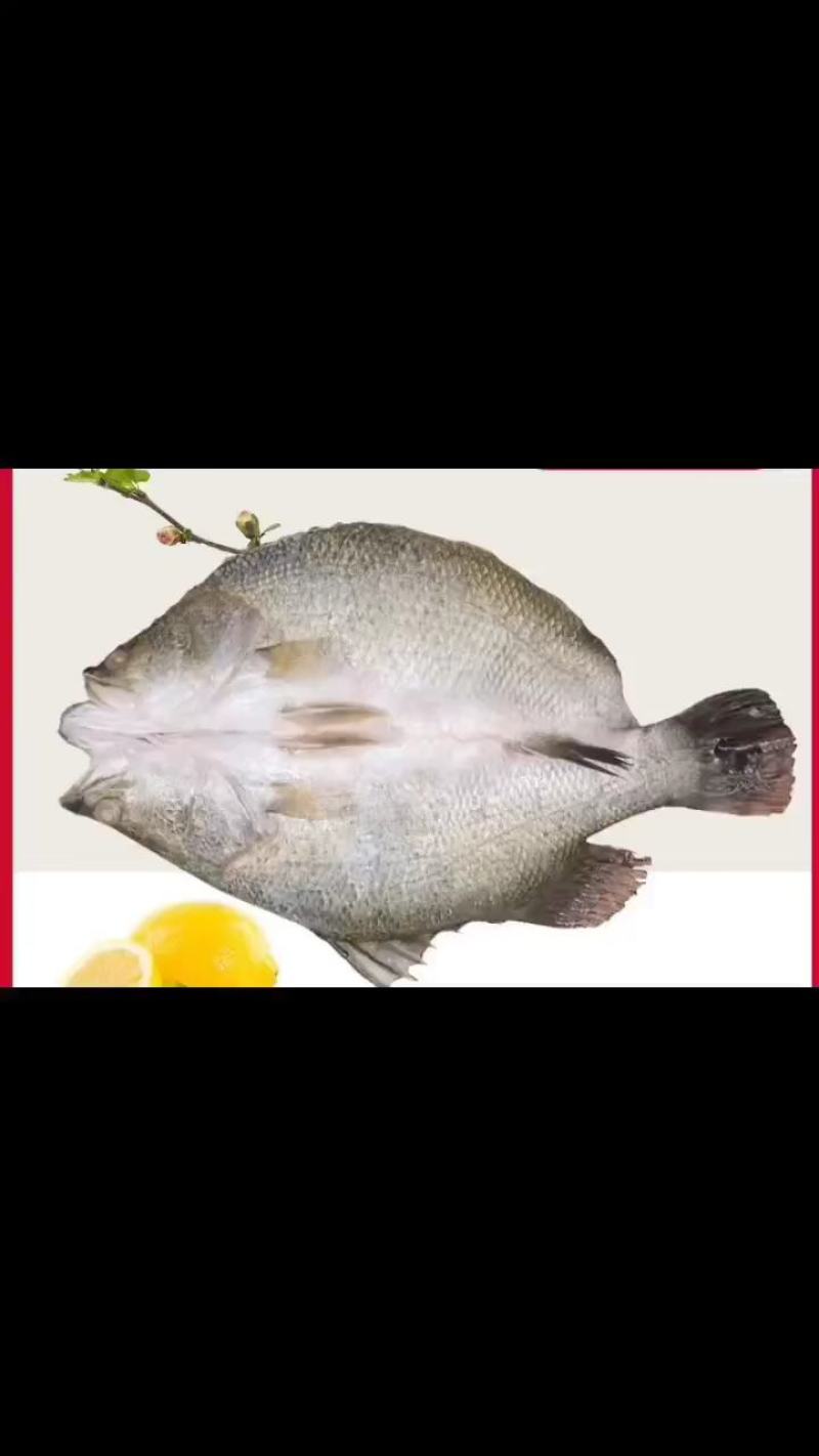 游龙斑/金目鲈鱼，蒜瓣肉质，活鱼宰杀