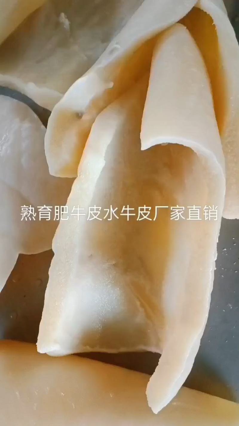 牛皮