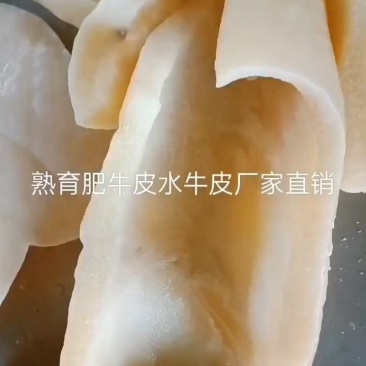 牛皮