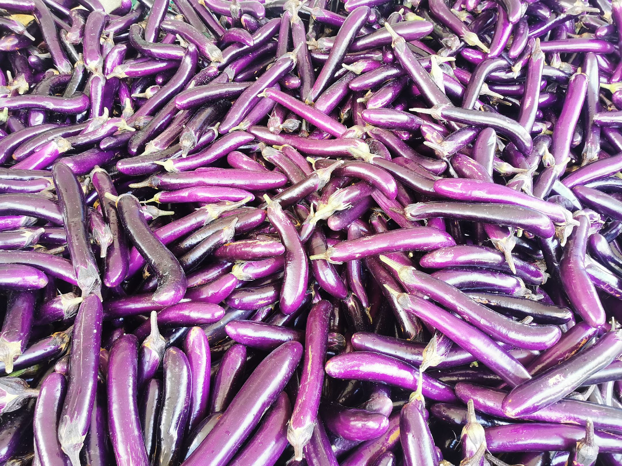 新鲜紫皮茄子切片,露出内部细腻的果肉结构 茄子切片展示