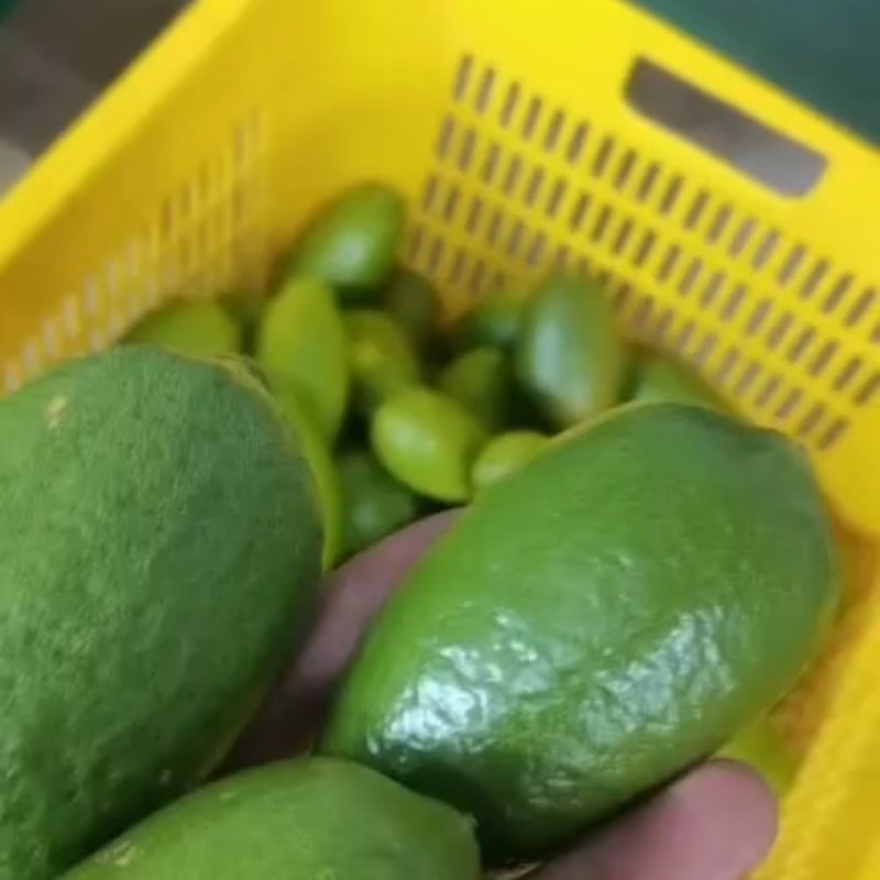 香水柠檬