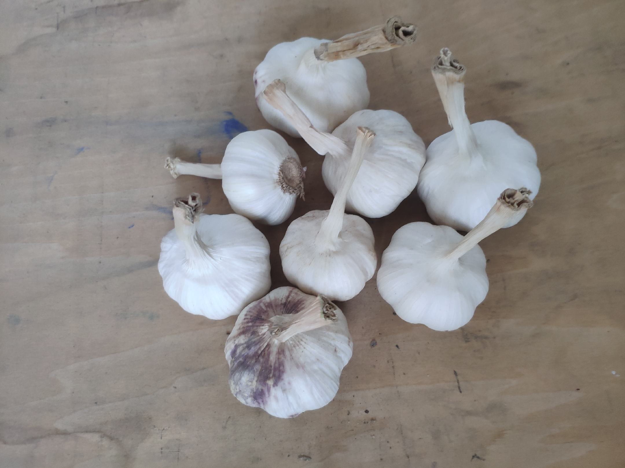 白菜与生姜搭配图