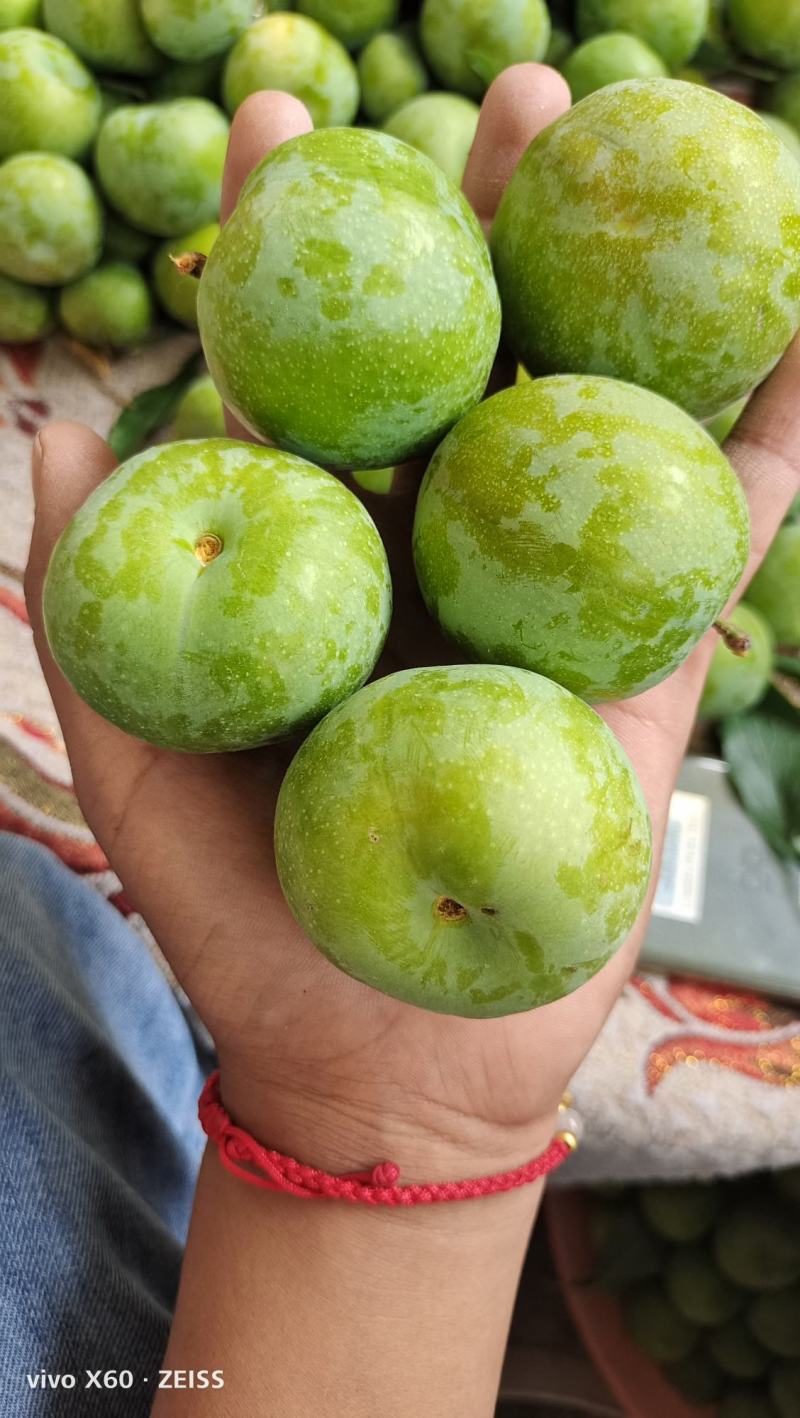 茂县清脆李