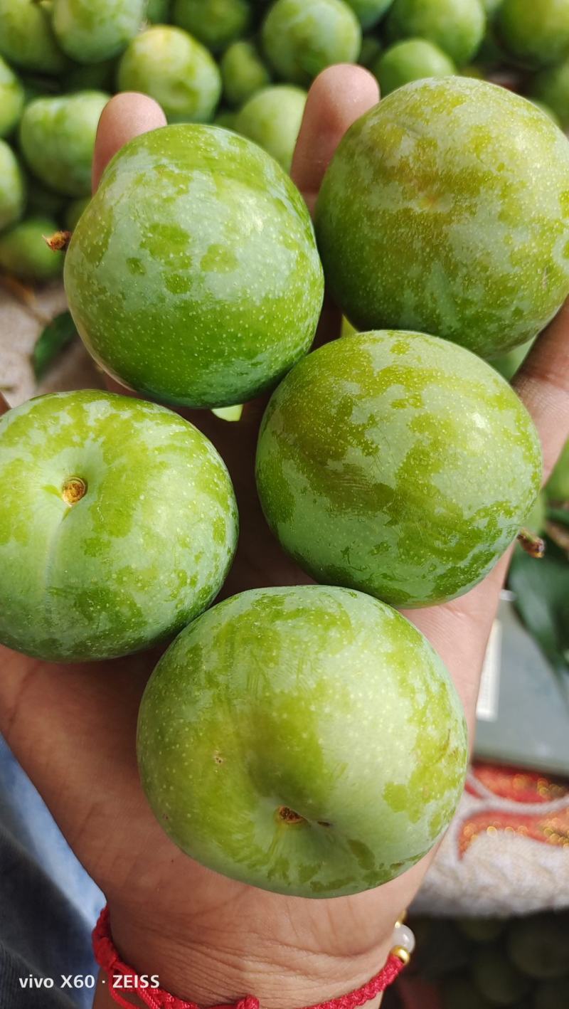 茂县清脆李