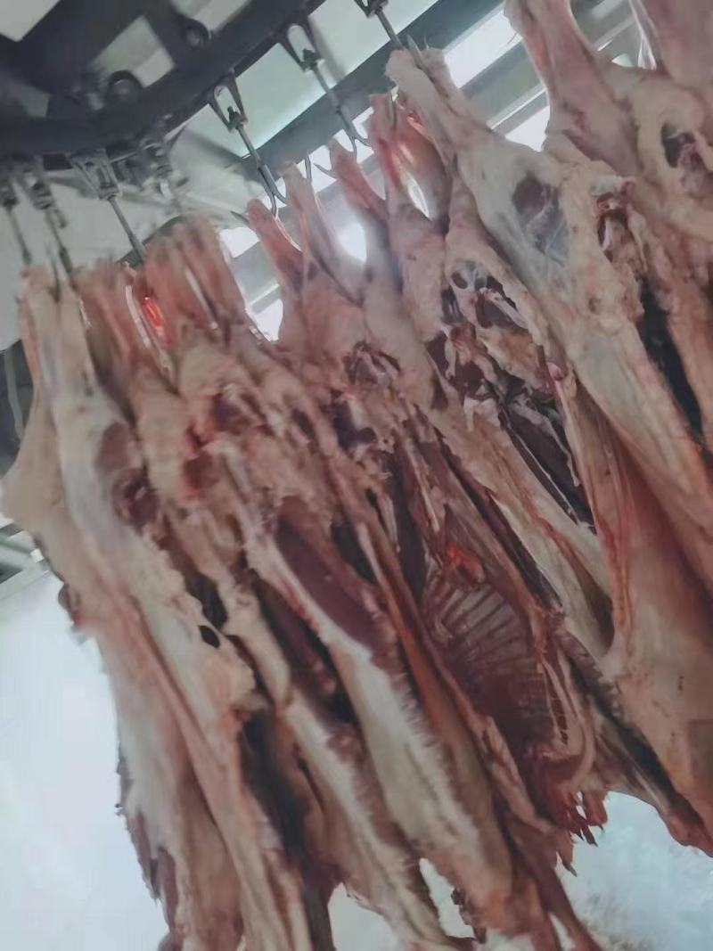 育肥羊肉卷，厂家一手货源也可定做加工。。。。