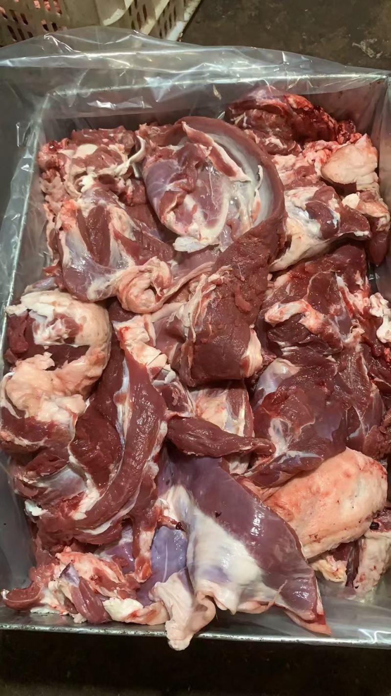 育肥羊肉卷，厂家一手货源也可定做加工。。。。