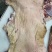 带皮羔羊肉，纯干无水，厂家直销一手货源，大量现货。