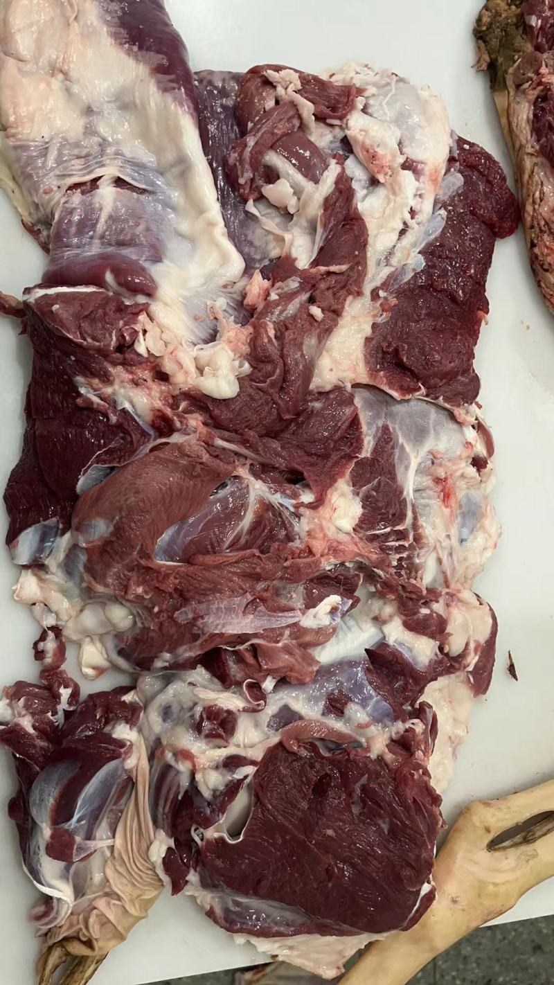 带皮羔羊肉，纯干无水，厂家直销一手货源，大量现货。