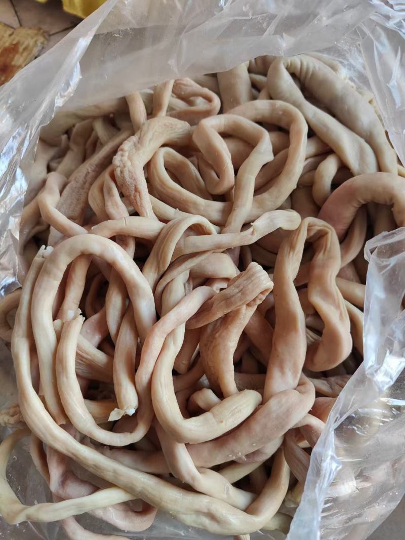 全熟羊肠，白，细，干净，十成熟。每天加工大量现货。