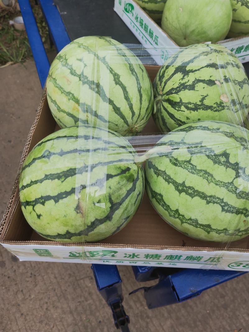 石头瓜，硒砂瓜，，产地看货论价保质保量欢迎订购