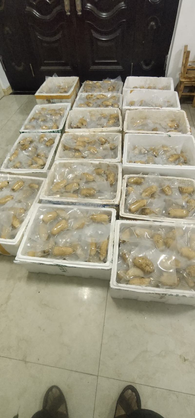 天麻干天麻真空包装，高温杀菌。保存时间长自然温度保存不需冷冻