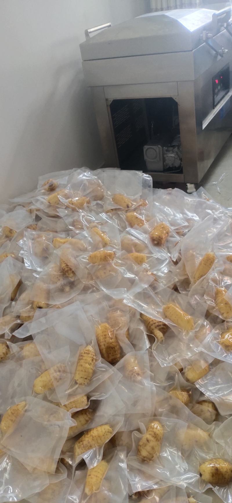 天麻干天麻真空包装，高温杀菌。保存时间长自然温度保存不需冷冻