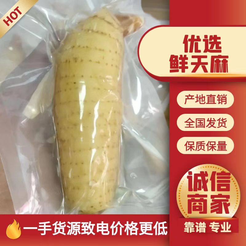 天麻干天麻真空包装，高温杀菌。保存时间长自然温度保存不需冷冻