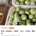 精品甜瓜