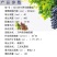 葡萄园埋藤机葡萄培土机葡萄种植埋藤机盖土覆土埋土机埋藤机