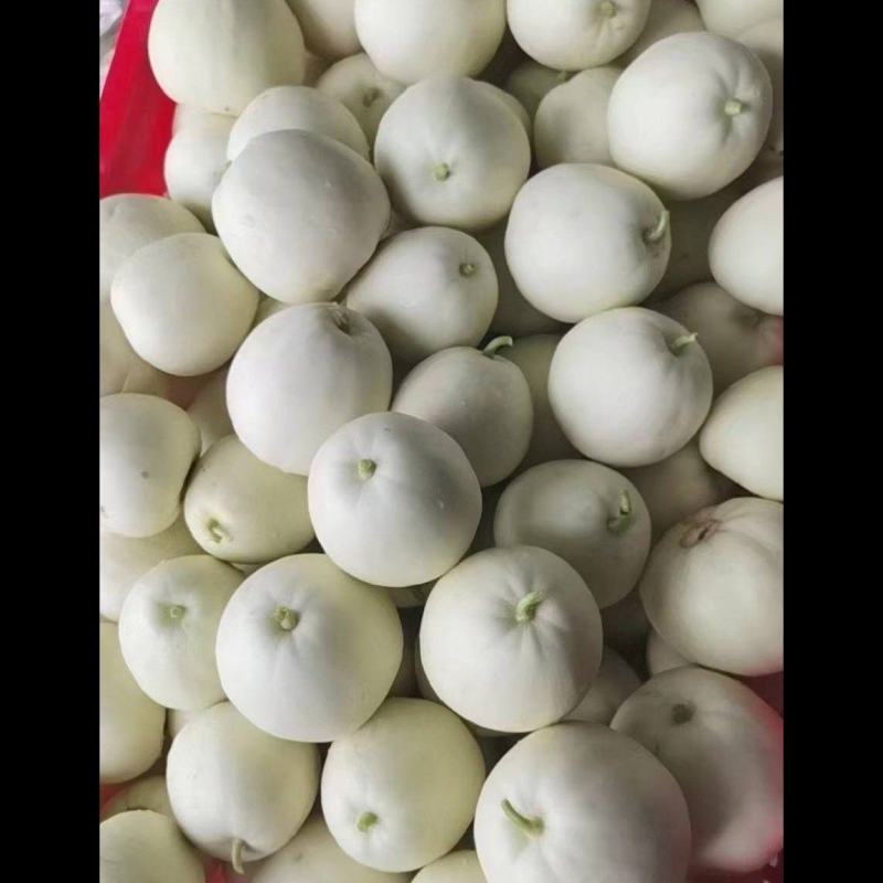 精品甜瓜