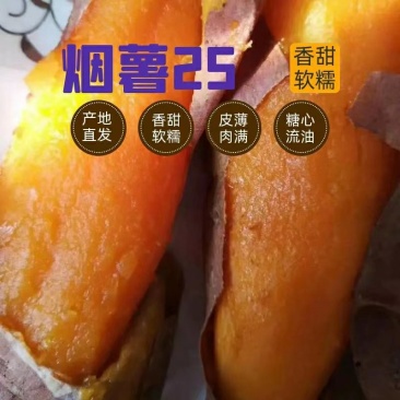 河北廊坊烟薯25产地直供一手货源批发品质保证价格美丽