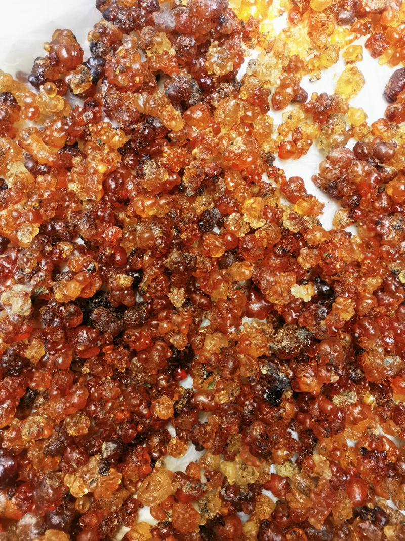 无锡阳山自己桃园采摘农户家天然可食用桃胶大颗粒黄色胶新货