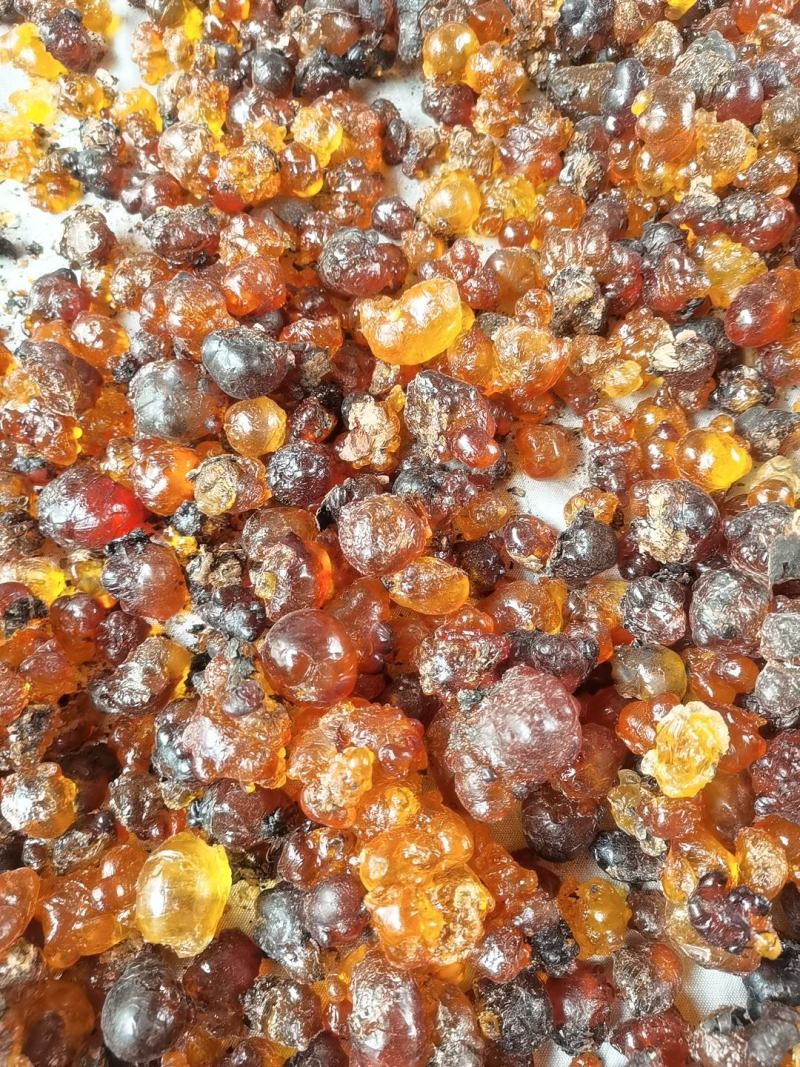 无锡阳山自己桃园采摘农户家天然可食用桃胶大颗粒黄色胶新货