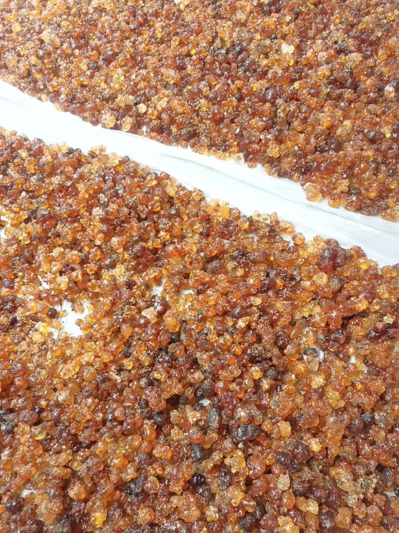 无锡阳山自己桃园采摘农户家天然可食用桃胶大颗粒黄色胶新货