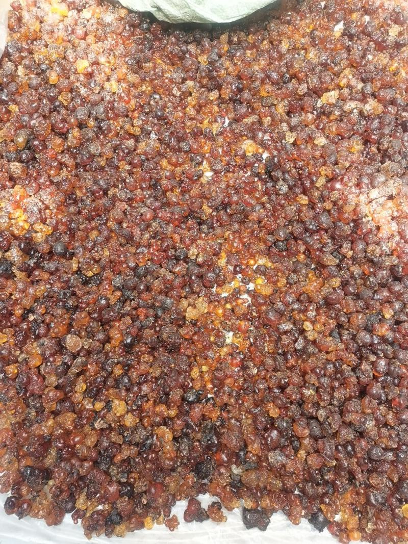 无锡阳山自己桃园采摘农户家天然可食用桃胶大颗粒黄色胶新货